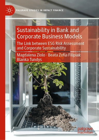 Magdalena Ziolo, Beata Zoﬁa Filipiak, Blanka Tundys - Sustainability in Bank and Corporate Business Models, Inbunden