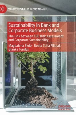 bokomslag Sustainability in Bank and Corporate Business Models