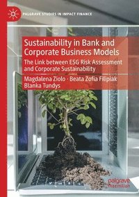 bokomslag Sustainability in Bank and Corporate Business Models