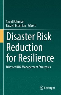 bokomslag Disaster Risk Reduction for Resilience