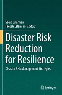 bokomslag Disaster Risk Reduction for Resilience