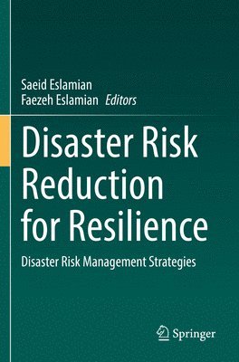 bokomslag Disaster Risk Reduction for Resilience