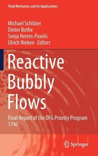 bokomslag Reactive Bubbly Flows