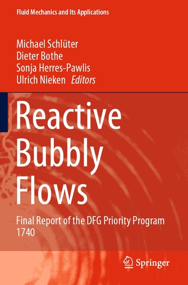 Michael Schlüter, Dieter Bothe, Sonja Herres-Pawlis, Ulrich Nieken - Reactive Bubbly Flows, Häftad