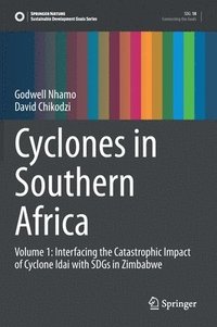 bokomslag Cyclones in Southern Africa