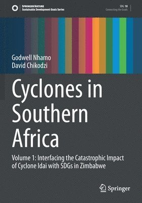 bokomslag Cyclones in Southern Africa