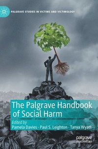 bokomslag The Palgrave Handbook of Social Harm