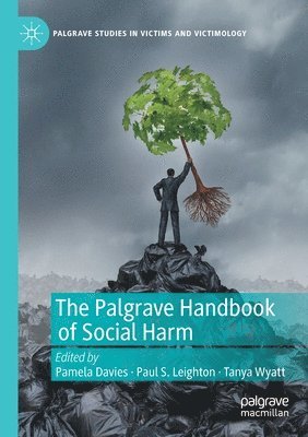 bokomslag The Palgrave Handbook of Social Harm