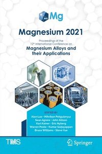 bokomslag Magnesium 2021