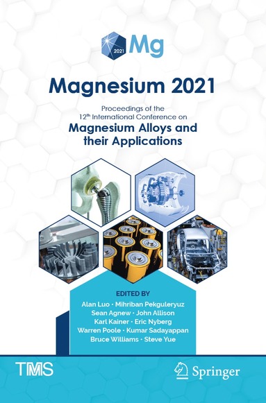 bokomslag Magnesium 2021