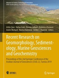 bokomslag Recent Research on Geomorphology, Sedimentology, Marine Geosciences and Geochemistry