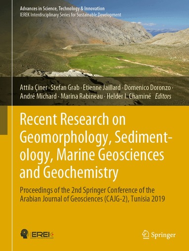 Attila Çiner, Stefan Grab, Etienne Jaillard, Domenico Doronzo, André Michard, Marina Rabineau, Helder I. Chaminé - Recent Research on Geomorphology, Sedimentology, Marine Geosciences and Geochemistry, Inbunden