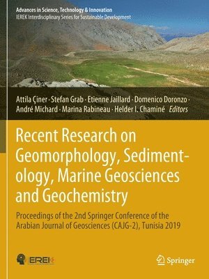 bokomslag Recent Research on Geomorphology, Sedimentology, Marine Geosciences and Geochemistry