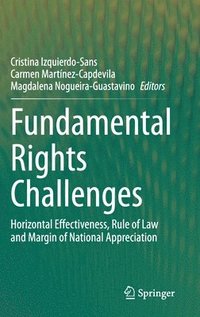 bokomslag Fundamental Rights Challenges