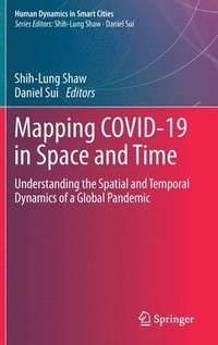 bokomslag Mapping COVID-19 in Space and Time