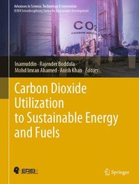 bokomslag Carbon Dioxide Utilization to Sustainable Energy and Fuels