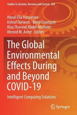 Global Environmental Effects During and Beyond COVID-19