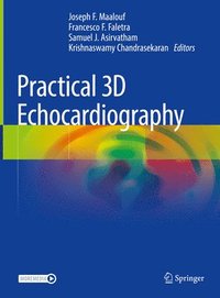 bokomslag Practical 3D Echocardiography