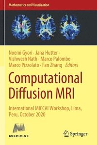 bokomslag Computational Diffusion MRI