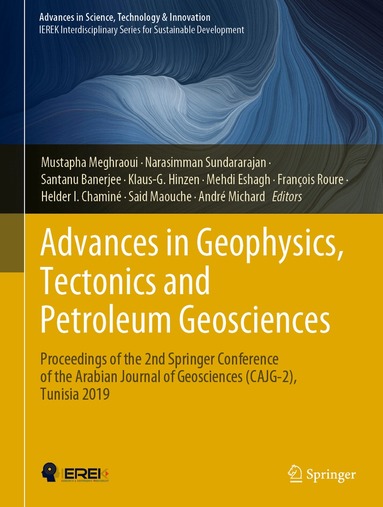 Mustapha Meghraoui, Narasimman Sundararajan, Santanu Banerjee, Klaus-G. Hinzen, Mehdi Eshagh, François Roure, Helder I. Chaminé, Said Maouche, André Michard - Advances in Geophysics, Tectonics and Petroleum Geosciences, Inbunden