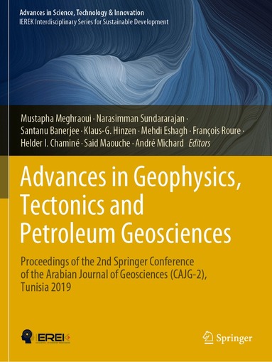 Mustapha Meghraoui, Narasimman Sundararajan, Santanu Banerjee, Klaus-G. Hinzen, Mehdi Eshagh, François Roure, Helder I. Chaminé, Said Maouche, André Michard - Advances in Geophysics, Tectonics and Petroleum Geosciences, Häftad