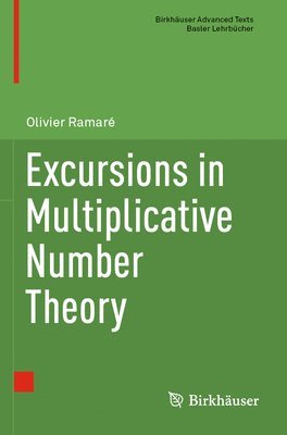 Excursions in Multiplicative Number Theory 1