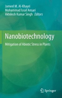 bokomslag Nanobiotechnology