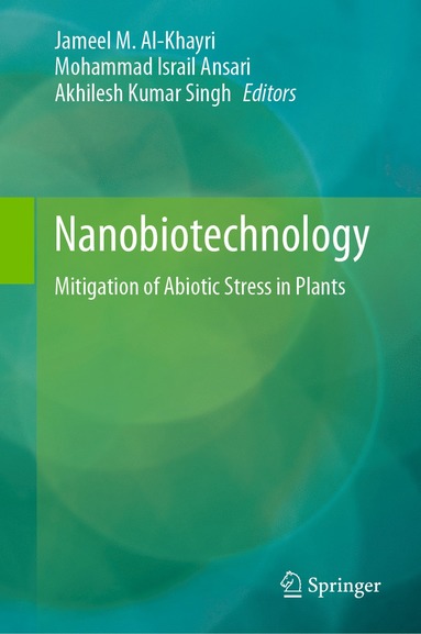 bokomslag Nanobiotechnology