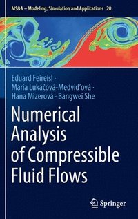bokomslag Numerical Analysis of Compressible Fluid Flows