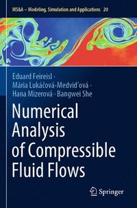 bokomslag Numerical Analysis of Compressible Fluid Flows
