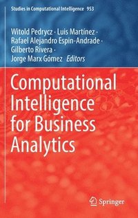 bokomslag Computational Intelligence for Business Analytics