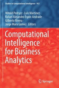 bokomslag Computational Intelligence for Business Analytics