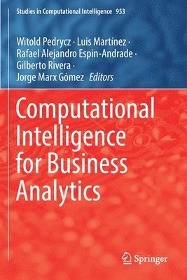 bokomslag Computational Intelligence for Business Analytics