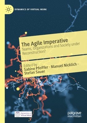 Sabine Pfeiffer, Manuel Nicklich, Stefan Sauer - Agile Imperative, Häftad