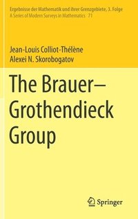 bokomslag The BrauerGrothendieck Group
