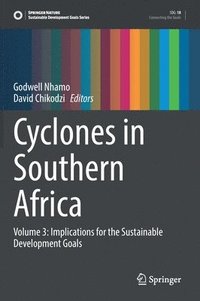 bokomslag Cyclones in Southern Africa