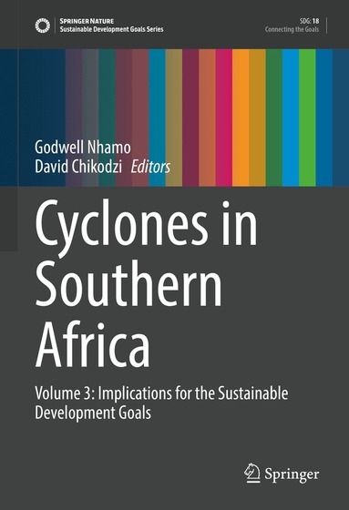 Godwell Nhamo, David Chikodzi - Cyclones in Southern Africa, Inbunden