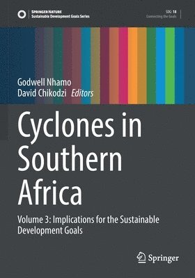 bokomslag Cyclones in Southern Africa
