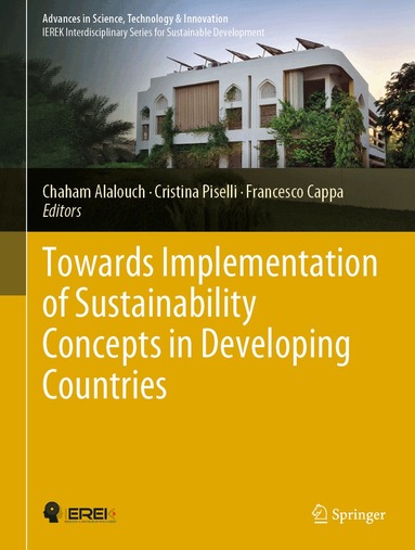 Chaham Alalouch, Cristina Piselli, Francesco Cappa - Towards Implementation of Sustainability Concepts in Developing Countries, Inbunden