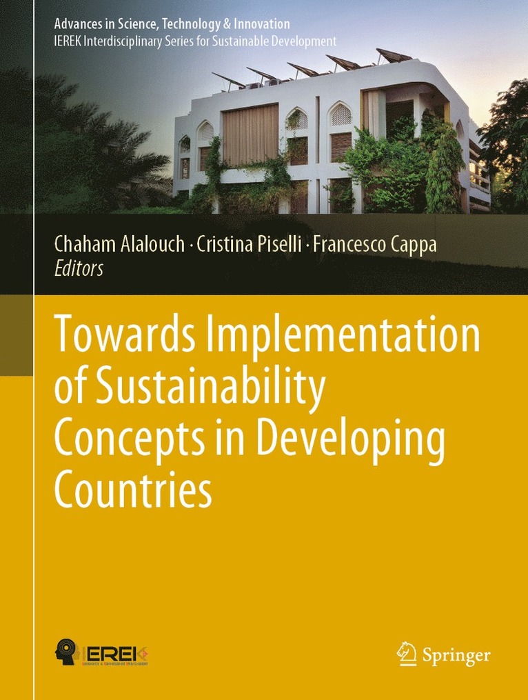 Chaham Alalouch, Cristina Piselli, Francesco Cappa - Towards Implementation of Sustainability Concepts in Developing Countries, Inbunden