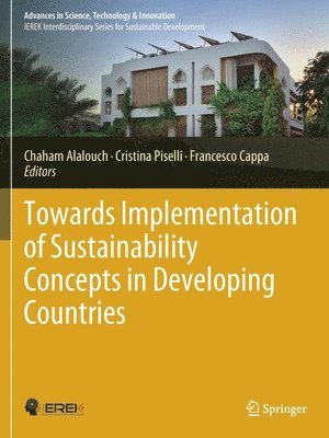 bokomslag Towards Implementation of Sustainability Concepts in Developing Countries