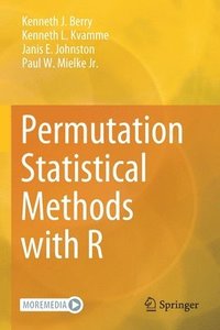 bokomslag Permutation Statistical Methods with R