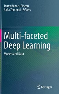 bokomslag Multi-faceted Deep Learning