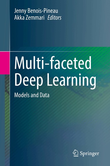Jenny Benois-Pineau, Akka Zemmari - Multi-faceted Deep Learning, Inbunden