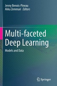 bokomslag Multi-faceted Deep Learning