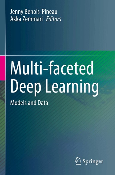 Jenny Benois-Pineau, Akka Zemmari - Multi-faceted Deep Learning, Häftad