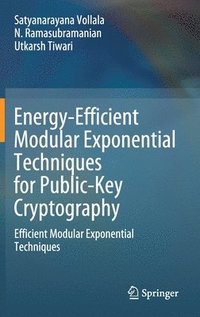 bokomslag Energy-Efficient Modular Exponential Techniques for Public-Key Cryptography