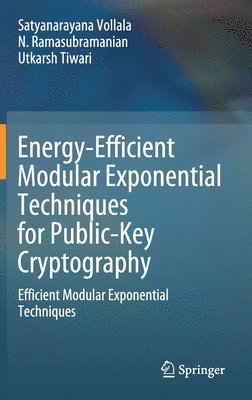 bokomslag Energy-Efficient Modular Exponential Techniques for Public-Key Cryptography