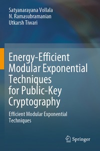 bokomslag Energy-Efficient Modular Exponential Techniques for Public-Key Cryptography