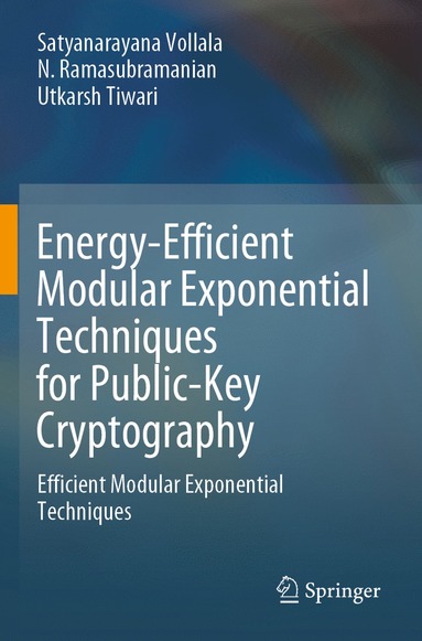 bokomslag Energy-Efficient Modular Exponential Techniques for Public-Key Cryptography